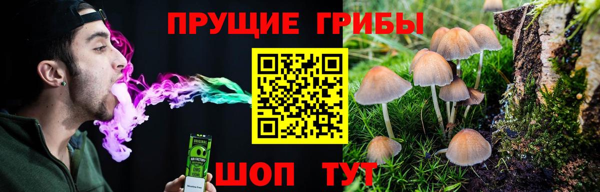Псилоцибиновые грибы мицелий Протвино